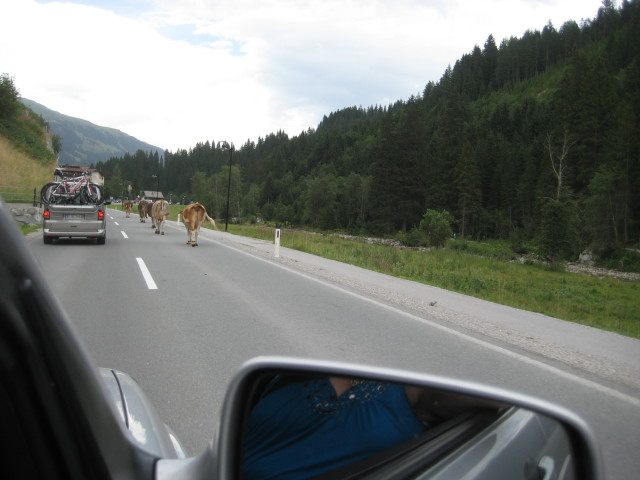 IMG_7965.jpg